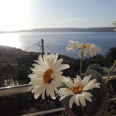 Olympic View Guesthouse Kalami  Bagian luar foto