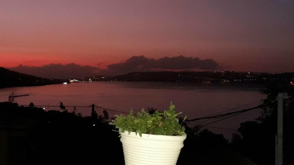 Olympic View Guesthouse Kalami  Bagian luar foto